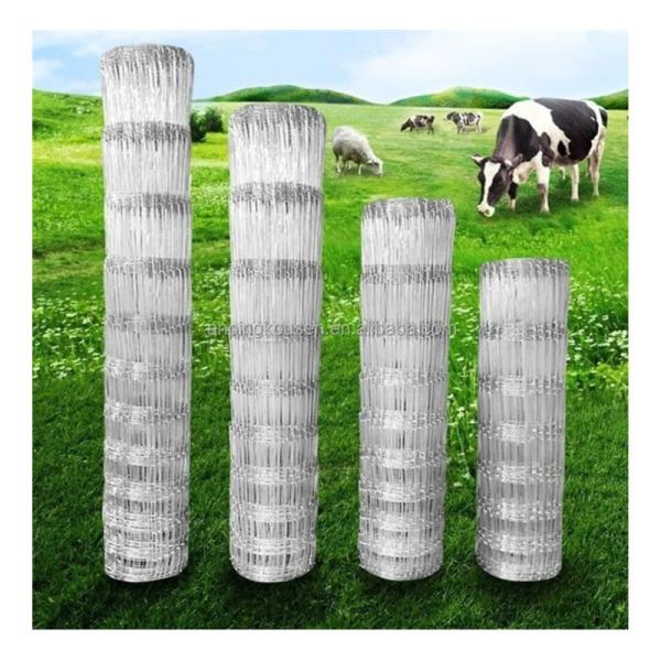 Square or Rectangle Hole Zinc Coated Wire Mesh Galvanized Bird Cage for Fence Mesh