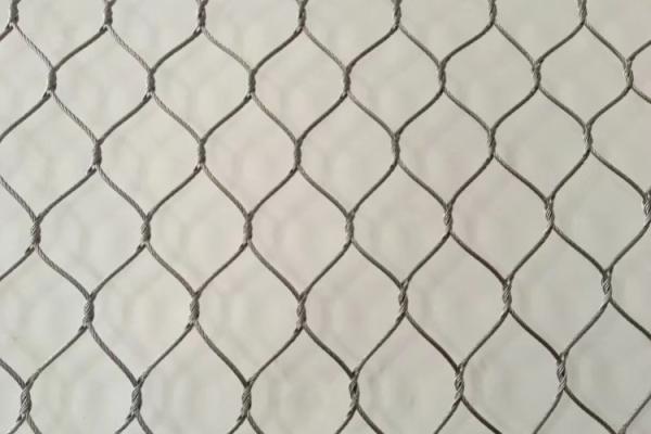 Quality Lightweight 7*7 Stainless Steel Aviary Mesh Aviary Netting For Parrots for sale