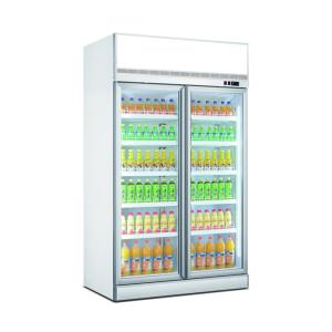 China Professional Display Chiller Double Door Display Refrigerator Freezer on sale