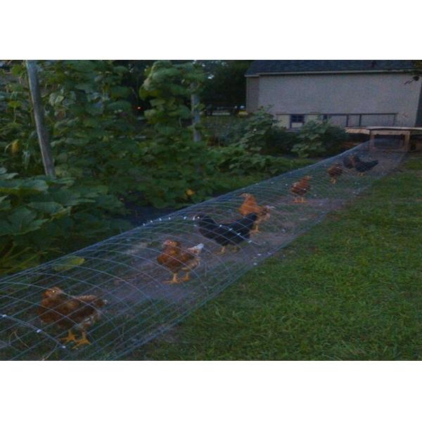 Stainless Steel Welded Wire Mesh Panels Roll Rust Proof Rectangular Hole Shaped