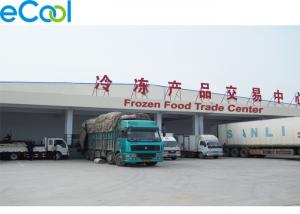 1000 Tons Frozen Food Trade Center Cool Room  Warehouse