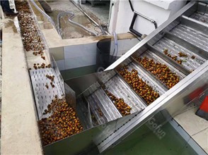 440V Industrial Mango Juice Processing Line mango pulp machine