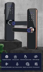 Virtual Password Fingerprint Door Lock Keyless Bluetooth Wifi Biometric Digital For Business