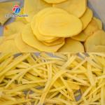 Tengsheng Infeed Chute Fruit Processing Machine Cucumber Lime Fracturing