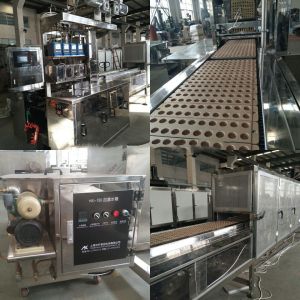 Fully Automatic Hard Candy Making Machine
