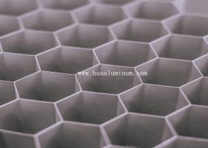 Anti Static Honeycomb Structural Lightweight Aluminum Panels Anodized Surface