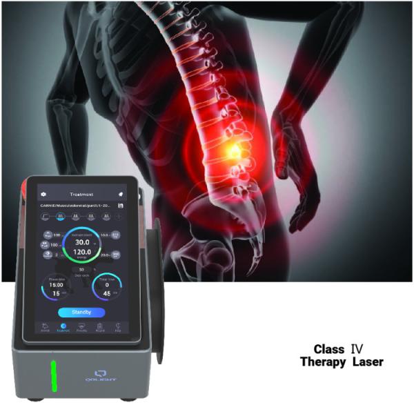Quality Portable Class 4 Laser Therapy Machine 980nm 810nm for sale