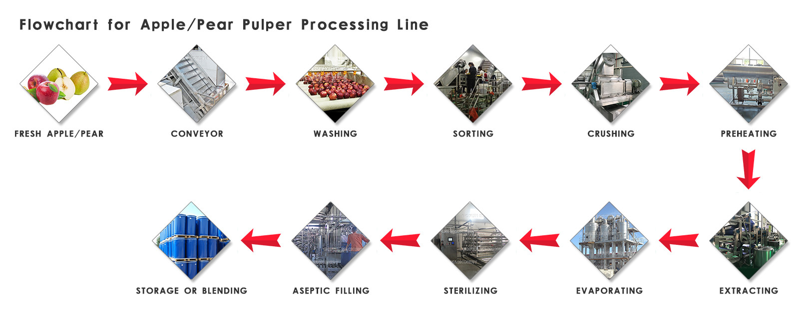 Full Automatic Fruit Processing Line Fruit Juice Making Machine Easy Operation