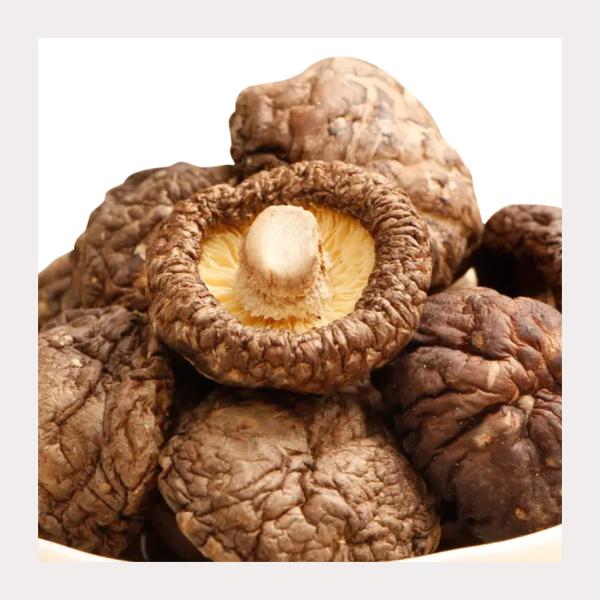 Quality Medium Texture Dried Shiitake Mushrooms With Dry Texture High Protein Nutrition for sale