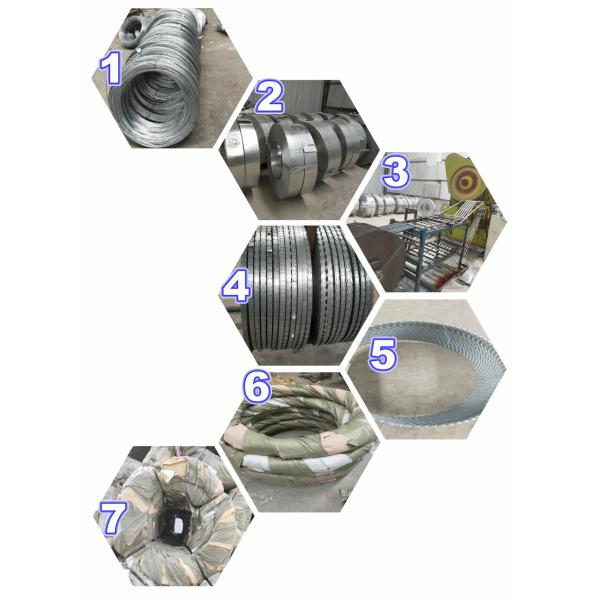 Stainless Steel 430 Concertina Razor Barbed Wire