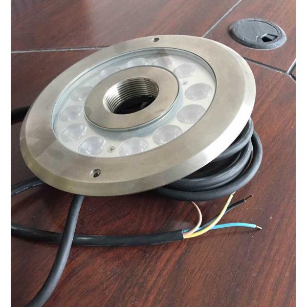 Low Voltage Underwater Pond Lights 316 SS With Strong Corrosion Resistant 8 Inch