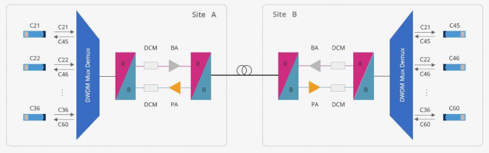 DWDM SOLUTION SF.jpg