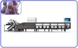 Artificial Intelligence Sorting Equipment 12 Lanes Dates Sorting Machine