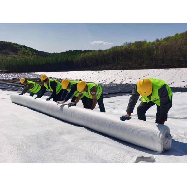 High Drainage HDPE Mesh Drainage Geonet 3D Composite Drainage Mat for Railways Highways