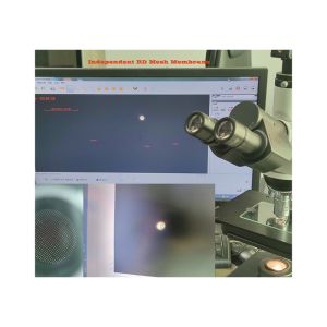 Ultrasonic Piezoelectric Ceramic Disc Atomizer Microporous Plate Precision