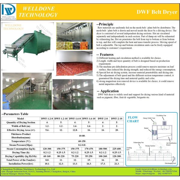 Energy Saving Mesh Belt Dryer for Food and Chemical Product