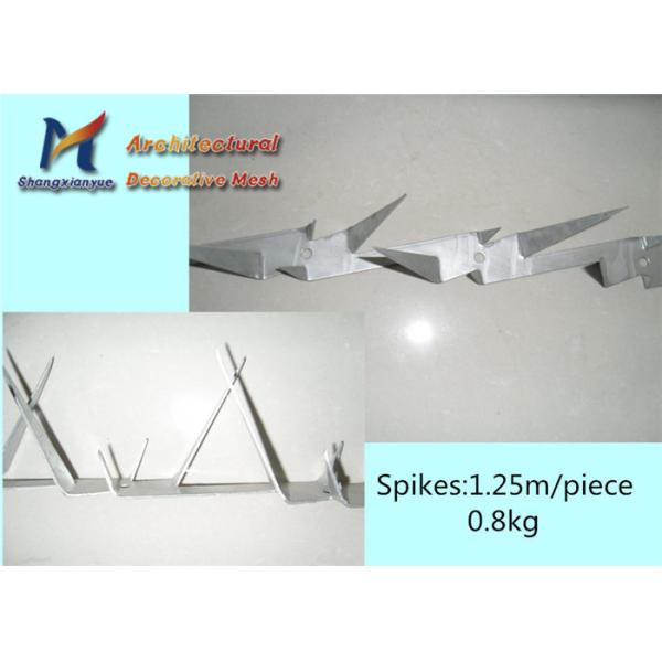 Metal Spike Galvanized Security Premeter Fence Top Metal Wire Mesh Fence