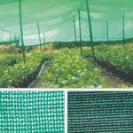 Highly Productive HDPE Green Shade Net Suppliers Machine with Different Features