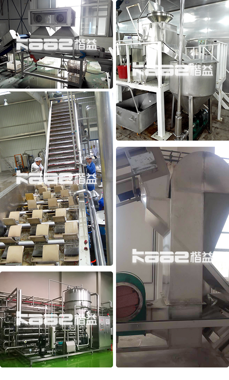 Fully automatic Dates Processing Machine CE jujube deep processing production line