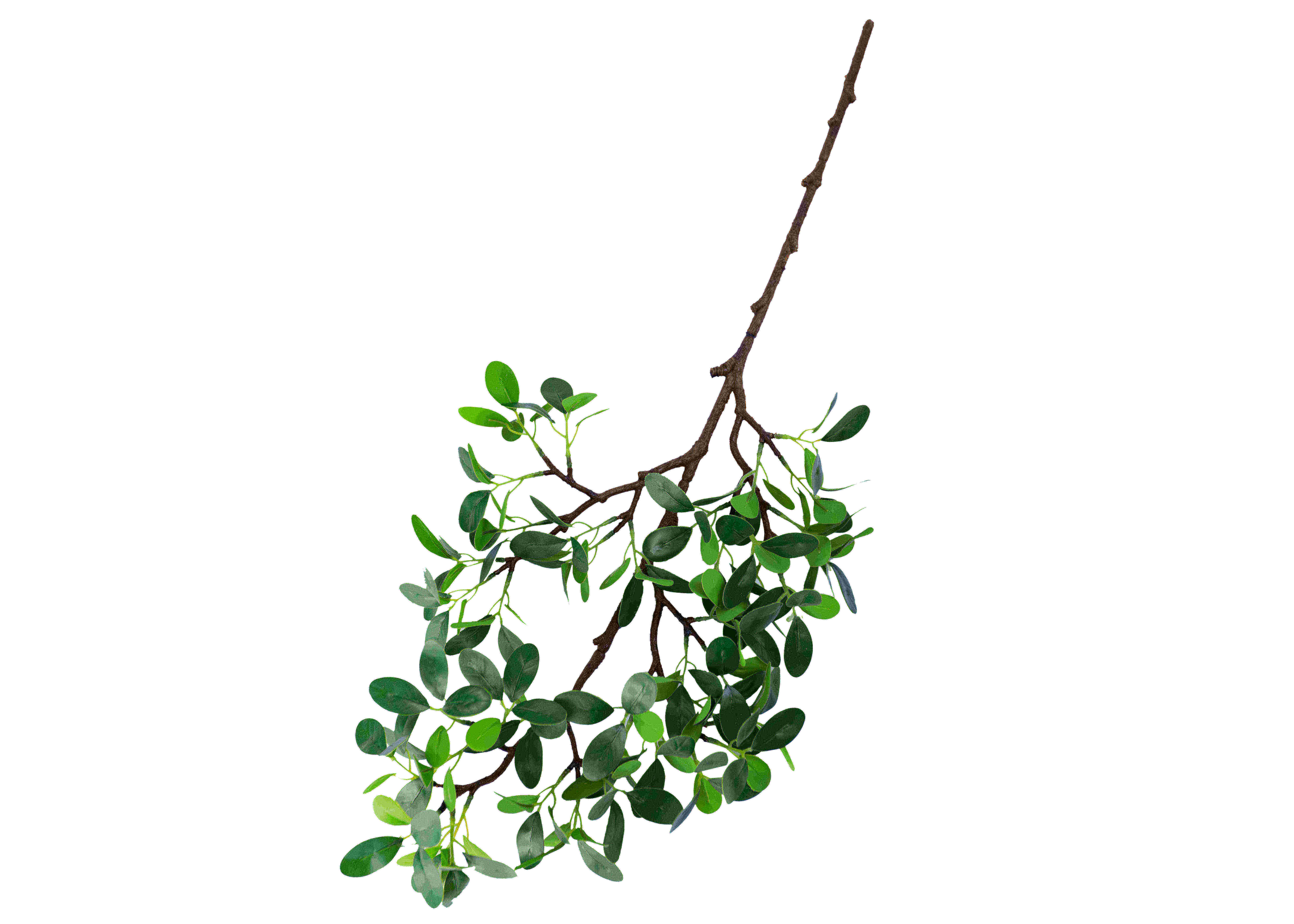 Clear Veins Fake Tree Branches Highly Simulated Upscale Ficus Branch