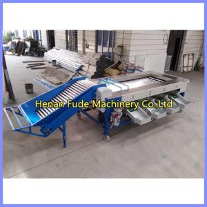 China potato sorting machine, potato grading machine on sale