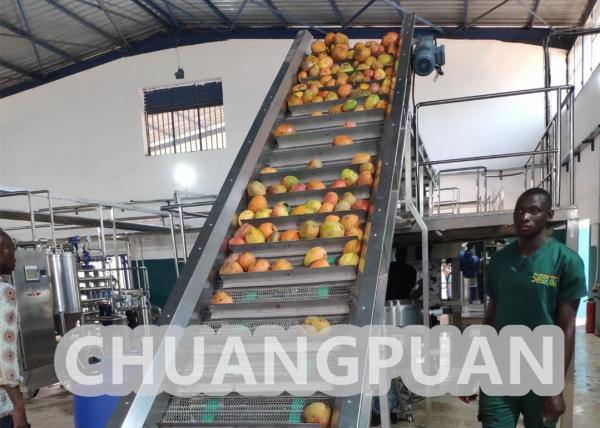 Quality Turn Key PLC Control 1-20T/H Mango Pulp Production Line 220V 380V 440V for sale