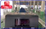 Stainless Steel Apple Sorting Machine PLC Control With 10 Channels