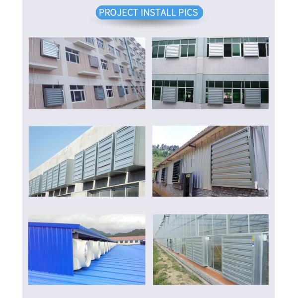 Wholesale an drop hammer style large industrial exhaust fan/chicken poultry house ventilation fan 1380mm 36 42 48 54 " Inch 900 1060 1220 1380 mm Factory Greenhouse Poultry Farm Chicken House Ventilation Exhaust Fan