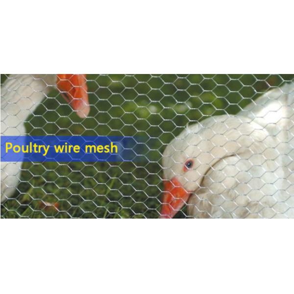 3ft×150ft 19 Gauge Chicken Wire Yardgard 2 Inch Mesh Poultry Netting