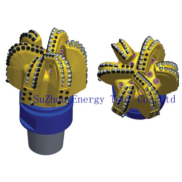 PDC Rock Bit Oil Well 12 Inch PDC Drilling Bit of API Rock Bit