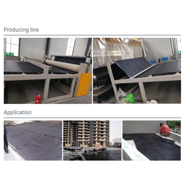 Roof Systems Plastic Hdpe Dimple Drainage Board Sheet