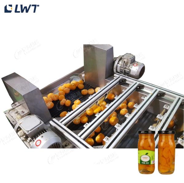 Quality Leadworld Canned Fruit Production Line Canned Orange Processing Line for sale