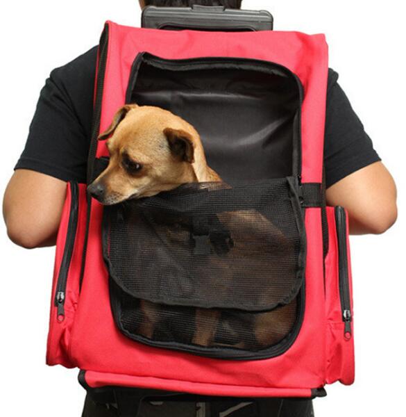 40*27*55cm Backpack Stroller Pet Carrier With Detachable Wheel
