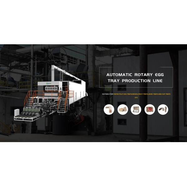 Fully Automatic Paper Shoe Tree Pulp Molding Production Line