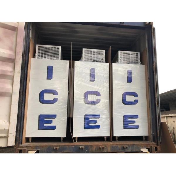 Custom Cold Storage Bagged Deep Ice Cube Freezer