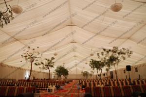 Clear Span 30 x 40m Large Event Tents