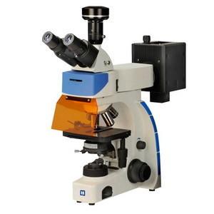 Quality Digital Trinocular Fluorescence Microscope LF-302 for sale