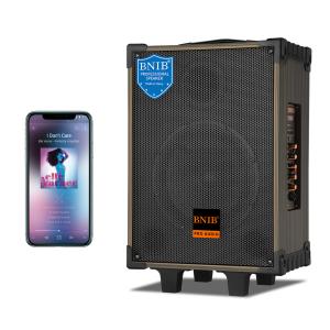 ODM 70W Amplifier Portable Bluetooth Speaker Outdoor Sound System For Stage