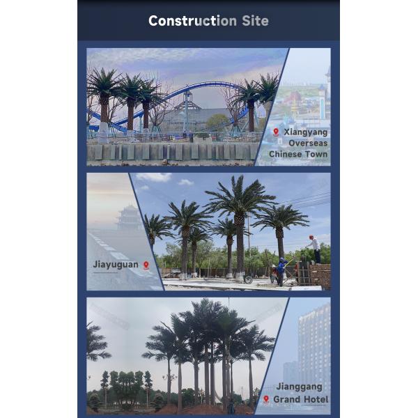 Haihong Artificial Palm Trees UV Resistant Large Fake Tropical Date Palm Tree Coconut Palm for Airport Outdoor Decoration