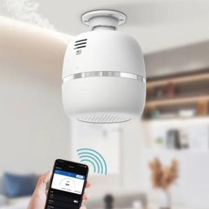 350ml Aromatherapy Function Aroma Diffuser Machines with Auto Shut-Off and 12V Output Voltage