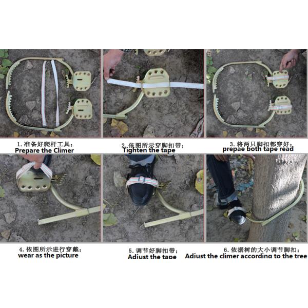 Durable Steel HT350 Electrical Pole Climber with 350mm Diameter Capacity for Utility Workers