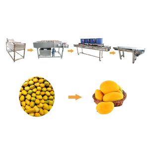 SS304 Vegetable And Fruit Washing Machine Mango Processing Line
