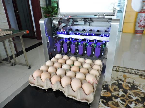 Quality High Resolution With 600 DPI And High Speed Operation  Egg Jet Printer for sale
