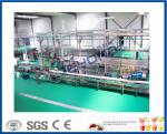 High Efficiency Fruit Juice Processing Line Process Beverage Sterilizing Tunnel