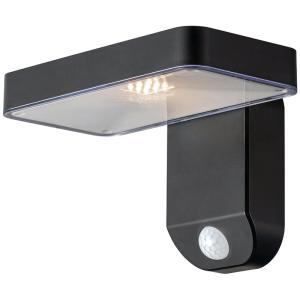 Stable Waterproof Garden Motion Sensor Light Multipurpose Durable