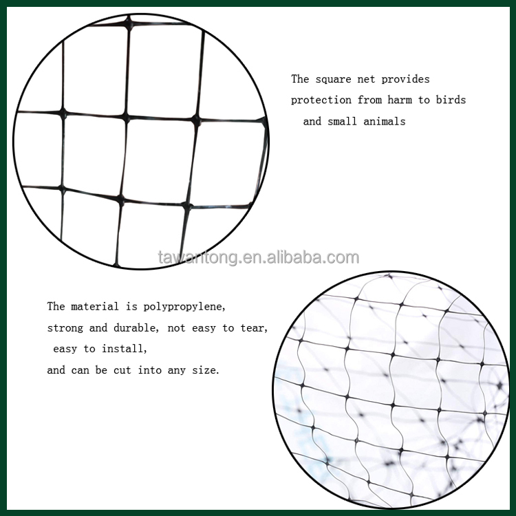 50gsm PP Plastic Deer Protective Net for Garden and Landscape Mesh Customized Length