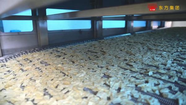 Quality Fully automatic ripen leaf noodle production line for sale