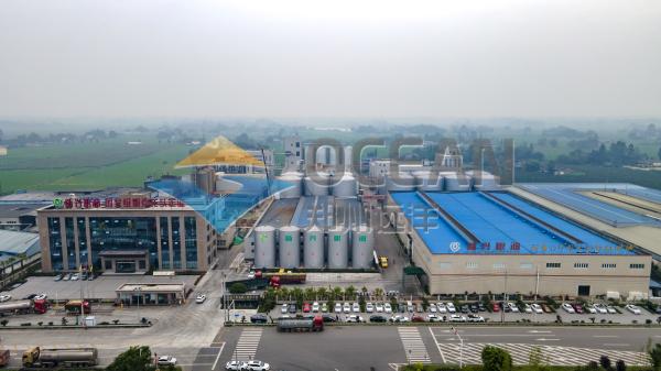 Quality 30 - 1500TPD Sunflower Oilseed Press Plant Low Noise Low Temperature for sale