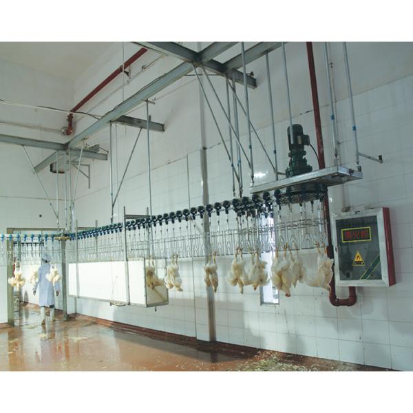 Quality 800bph - 2000bph Chicken Automatic Slaughtering Machine Broiler Processing Equipment for sale