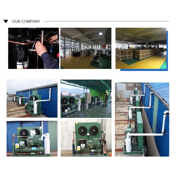 Storage Double Effect Air Cooled Cooler Condensate Mini Fridge Salt Chiller Tube Ice 5Hp Coldroom Cooling Coil Fan Evaporator